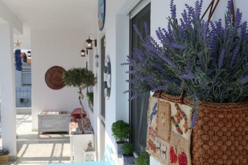 Apartamento Petalida
