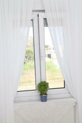 Apartamento Petalida