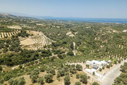 Villa Amna Olive