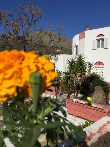 Apartamento Poseidon House