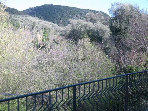 Agroturismo Anna's Countryside House