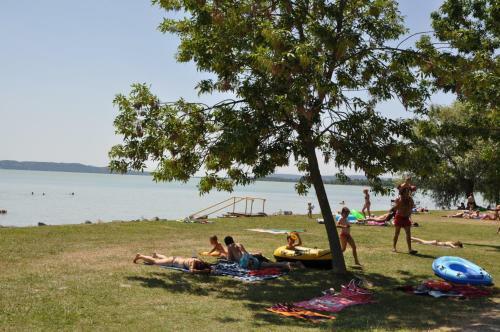 Aqua Camp Mobilh�zak - Eur�pa Kemping Als��rs
