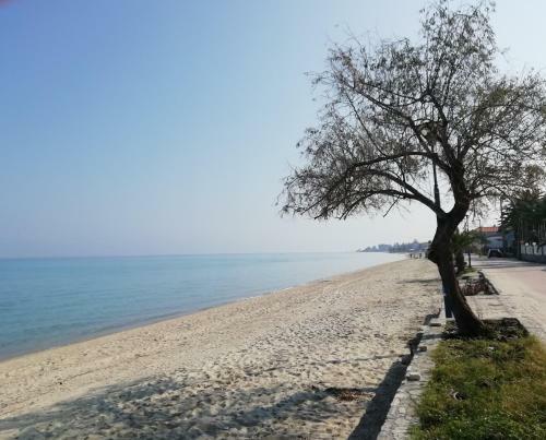 Seaside View Villa