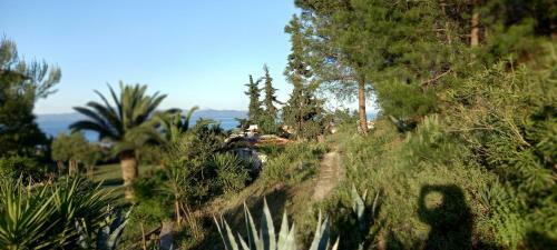 Seaside View Villa