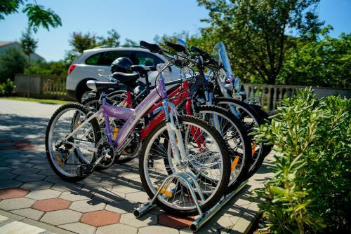 Villa Vila Beki - Private Pool - Zadar County