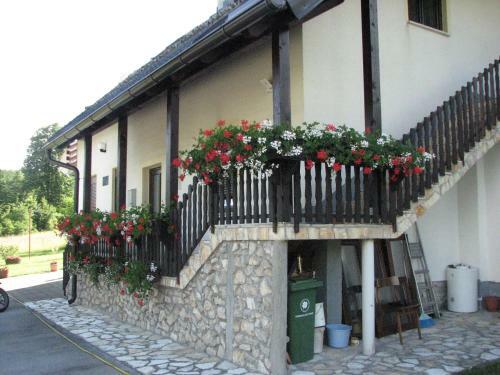 Hostal Apartment & Rooms Luketic