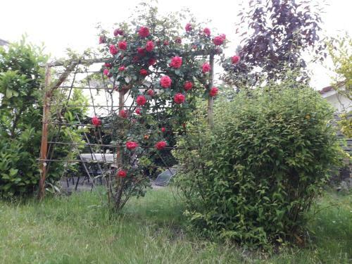 Apartamento Gartenblick