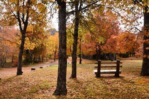 Lodge Caba�as Las Cabras