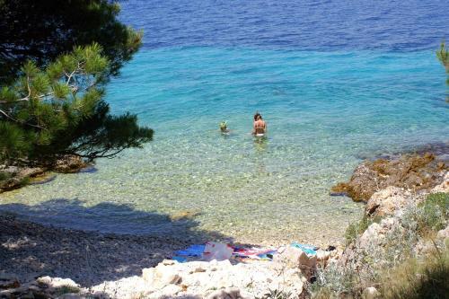 Apartments By The Sea Bilo, Primosten - 14601