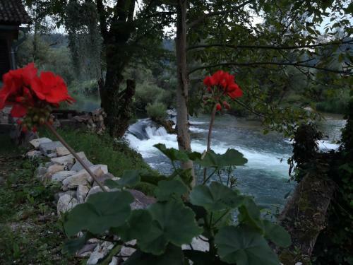 Hostal Rooms S&i Korana