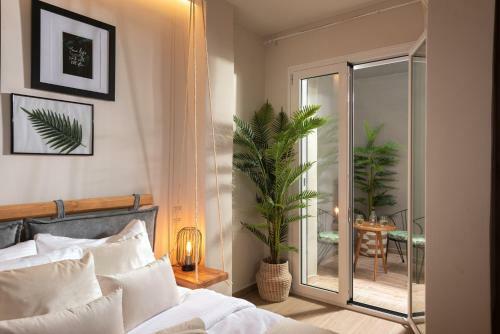 Apartamento Palm Luxury Studios
