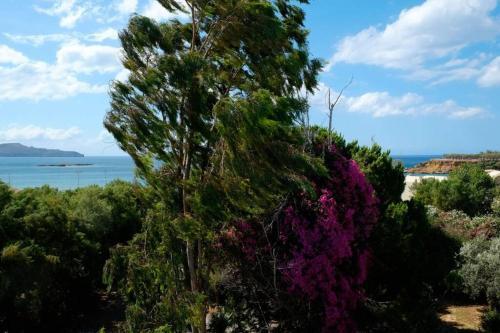 Apartamento Roof Garden Seafront Lux Villa