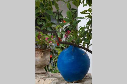 Apartamento Roof Garden Seafront Lux Villa