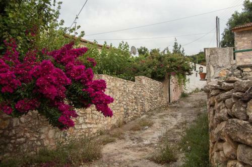 Sergios Village House