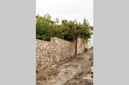 Sergios Village House