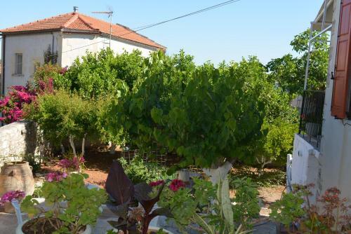 Sergios Village House