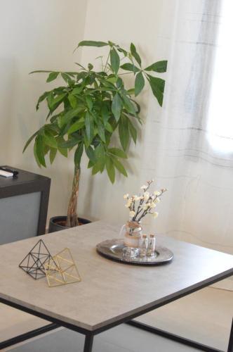 Apartamento Leonidas House