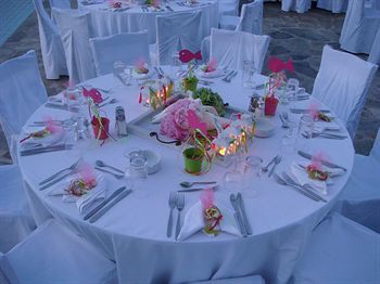 Hotel Dolphin Bay