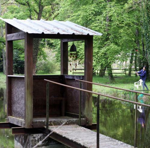 Bed & Breakfast L'or�e De Sologne