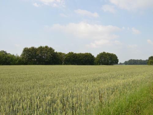 Kabinet & Dekenkist