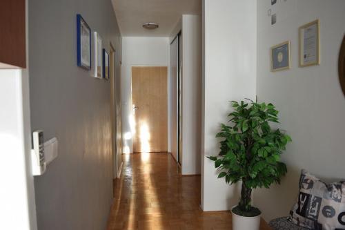 Apartamentos Juras1