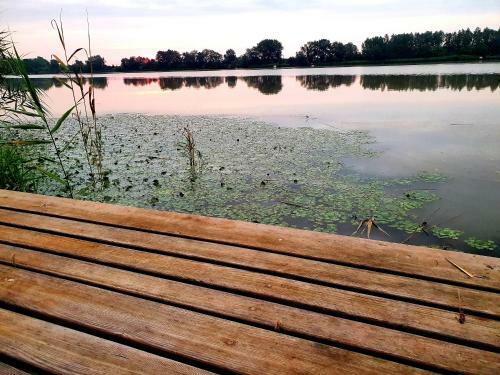Dunabeach Szigetszentm�rton