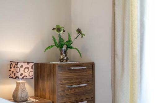 Apartamentos Villa Flores