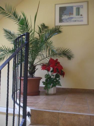Hostal Turul �tterem �s Panzi�