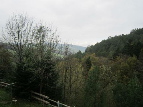 Hostal Waldpension Stachl