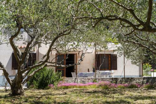 Apartamento Casa Oliva