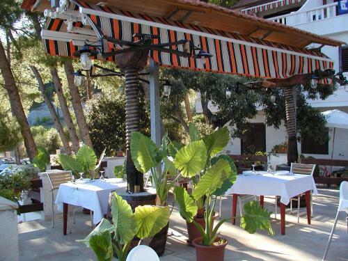B&B Pansion Jure Matijevi?