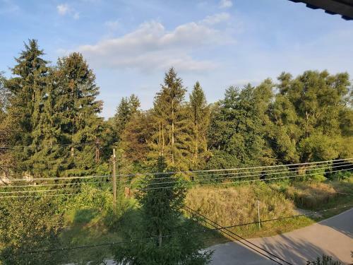 Hostal Feny?fa Vend�gh�z