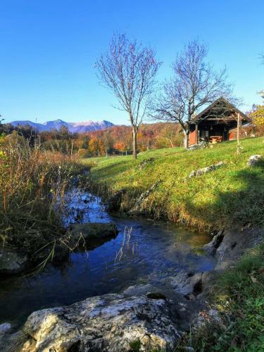 Apartman Sveti Rok