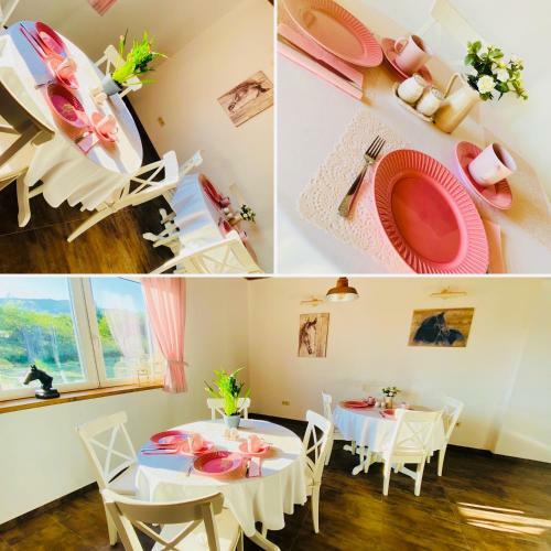 Hostal Gold Horse Vend�gh�z