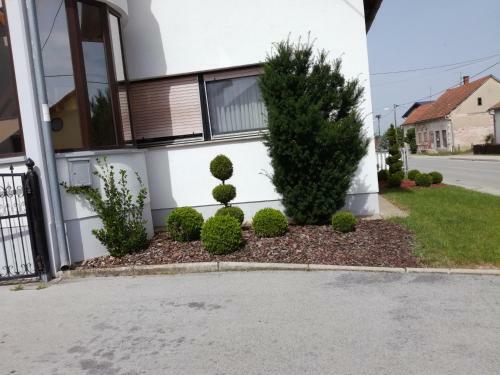 Apartmani Oleti? 4*