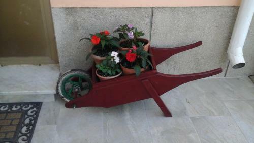 Hostal Guesthouse Familija Tariba