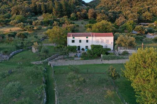 House Viskic