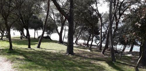 Mobile Home Cinzia