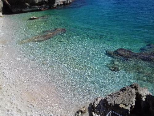 Apartamento Studio Rose