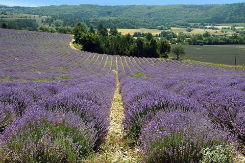 Bed & Breakfast La Bousquati�re