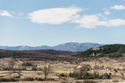 Krolo Villa&wine