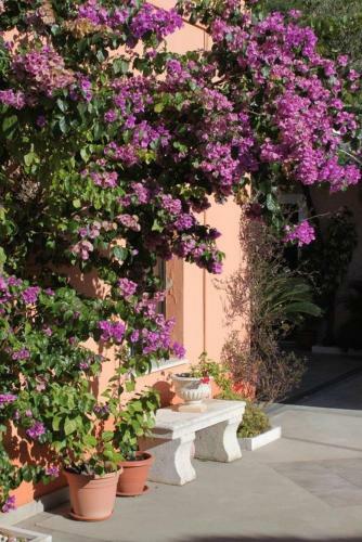 Hostal Rooms With A Parking Space Trsteno, Dubrovnik - 8595