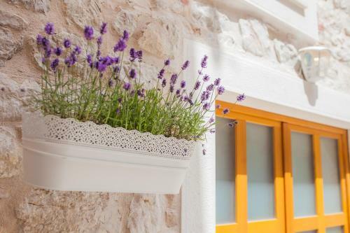 Apartman Brunela