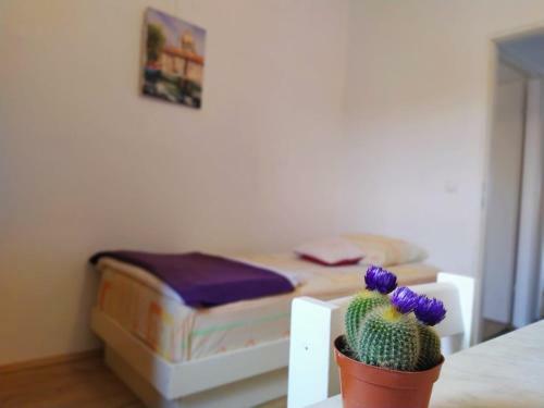 Apartment "luka"