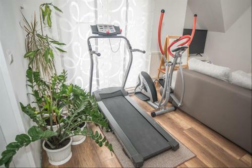 Apartman Hubertus 5*