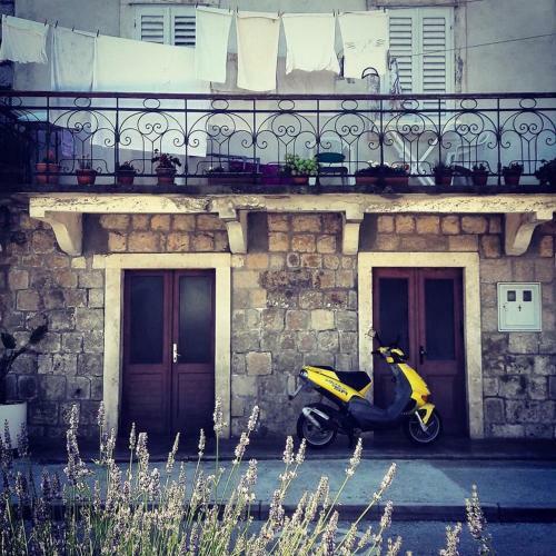 Apartamento La Maison Alvina