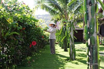 Hotel Green Organic Villas