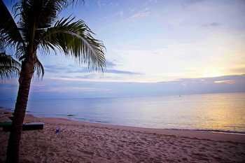 Hotel Green Organic Villas