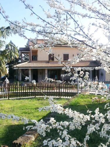Hostal Luconi Affittacamere