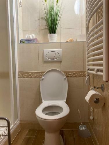 Hostal Velemi Vend�gh�z